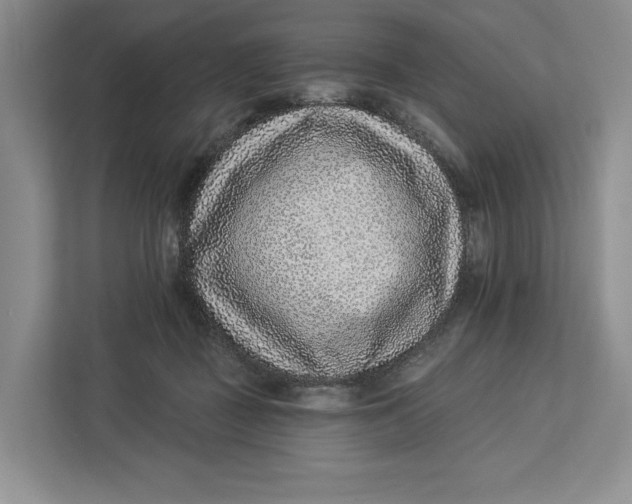 X0000112940363200909141352