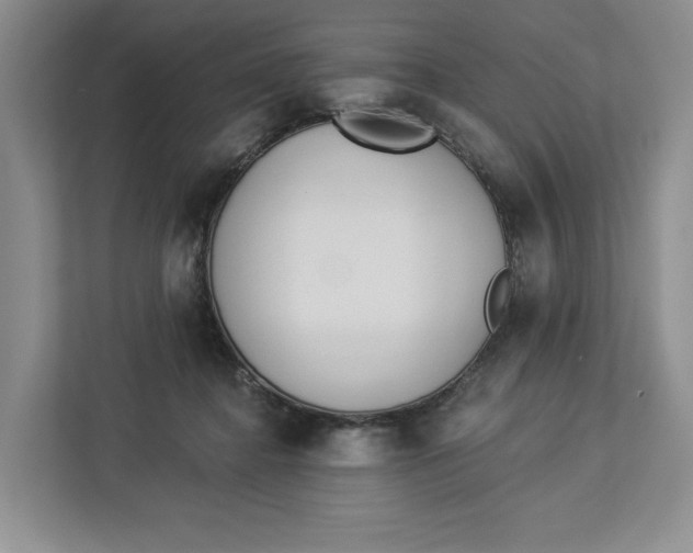 X0000112940364200909141352