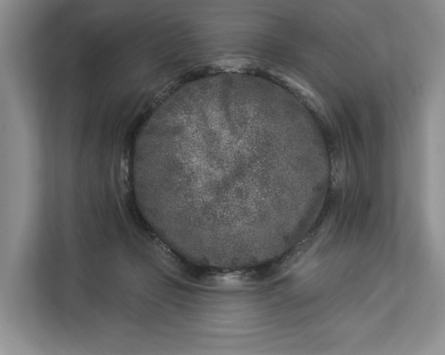 X0000112940365200909141352