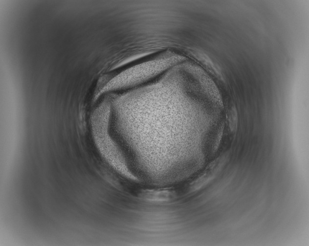 X0000112940366200909141352