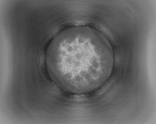 X0000112940367200909141352