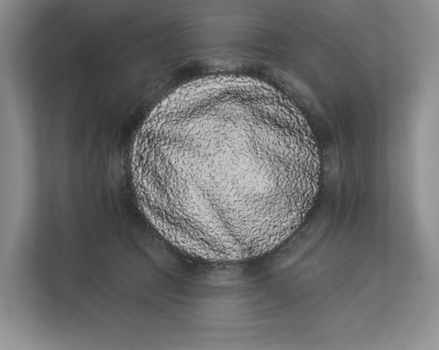 X0000112940369200909141352