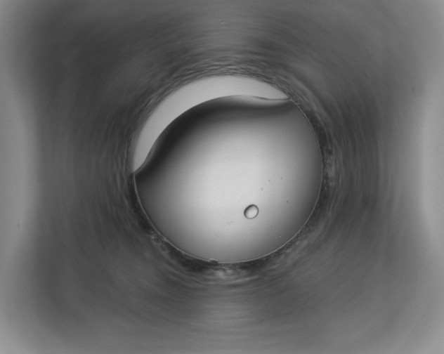 X0000112940372200909141352