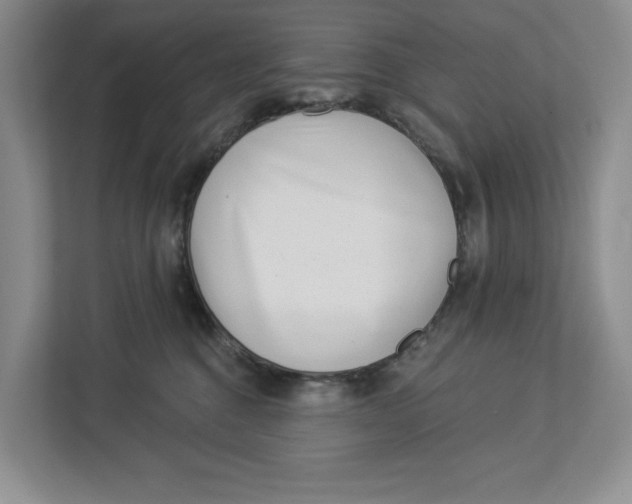 X0000112940376200909141352
