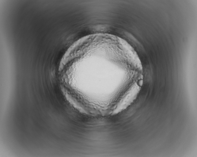 X0000112940377200909141352