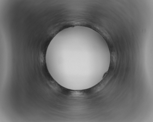 X0000112940380200909141352