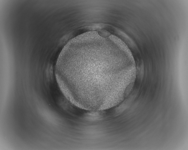 X0000112940381200909141352