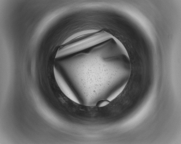 X0000112940382200909141352