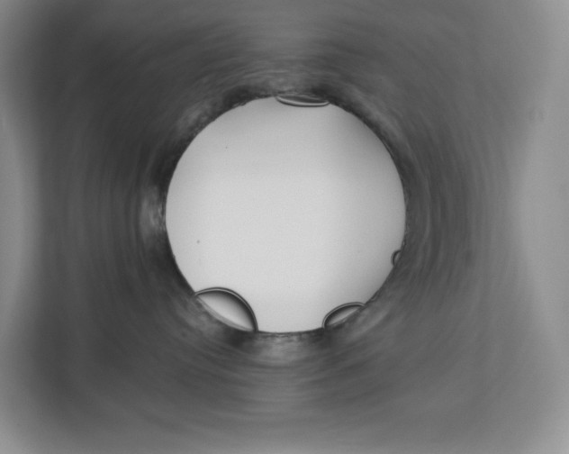 X0000112940384200909141352
