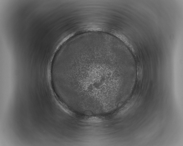 X0000112940390200909141351