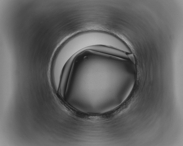 X0000112940391200909141351