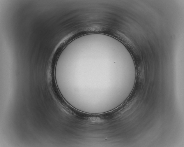 X0000112940392200909141351