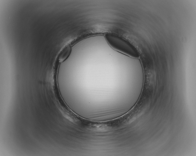 X0000112940395200909141351