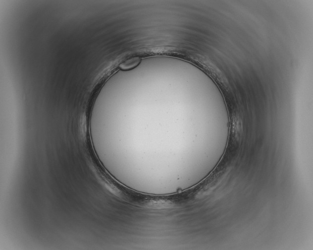 X0000112940397200909141351