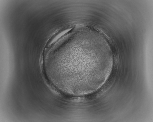 X0000112940398200909141351