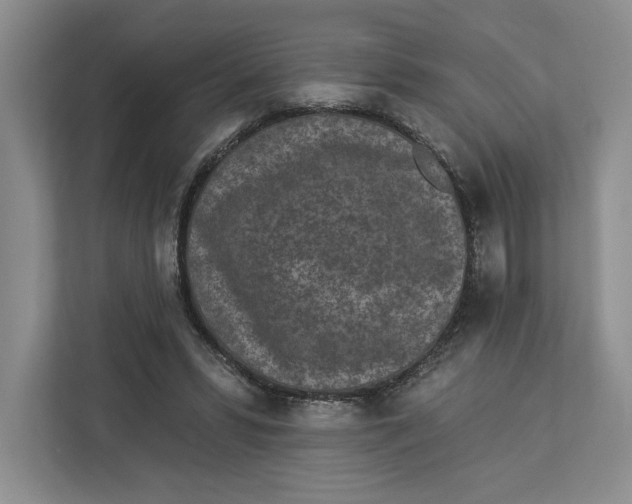 X0000112940399200909141351