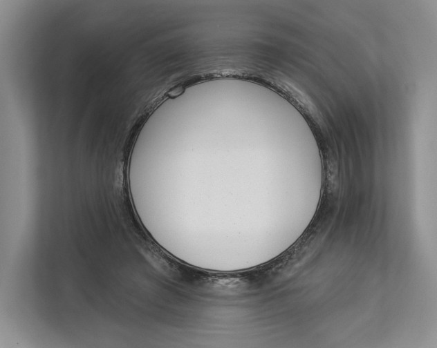 X0000112940401200909141351