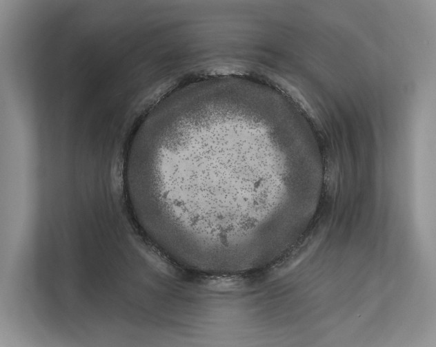 X0000112940402200909141351