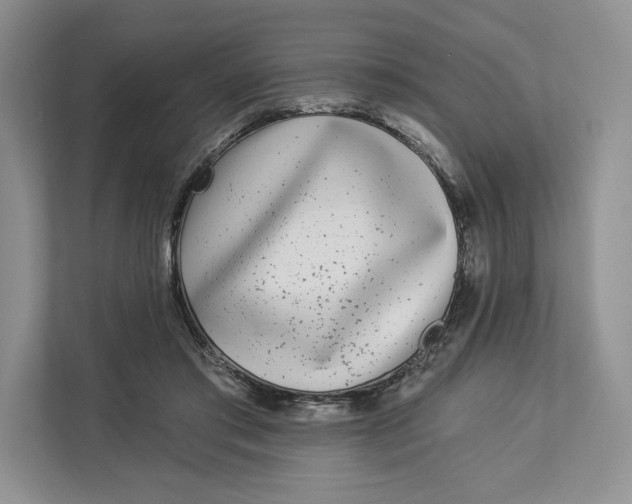 X0000112940405200909141351