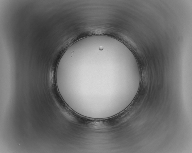 X0000112940406200909141351