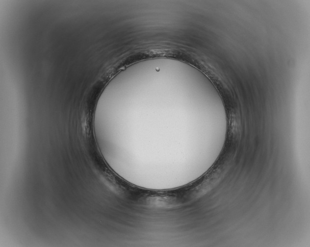 X0000112940408200909141351