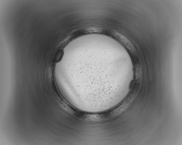 X0000112940409200909141351