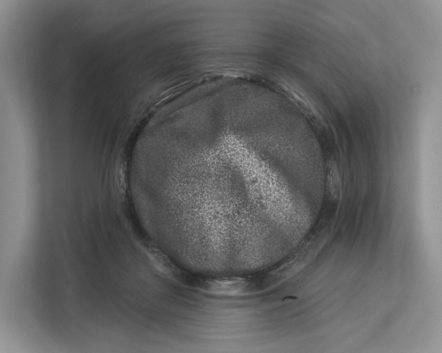 X0000112940410200909141351