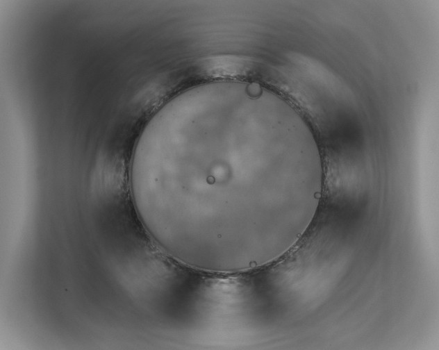 X0000112940411200909141351