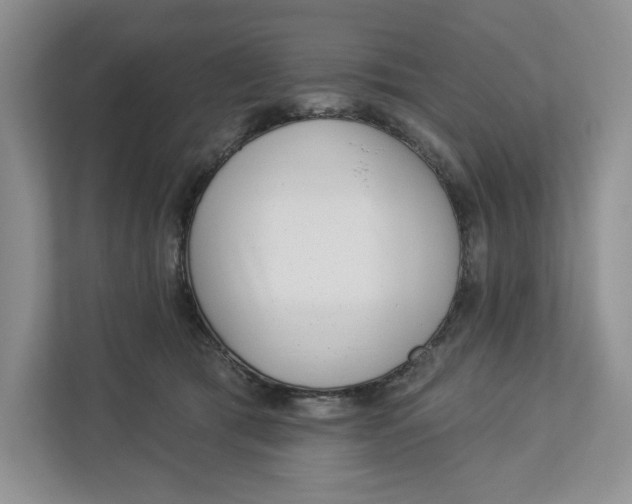 X0000112940417200909141351
