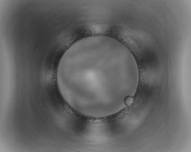 X0000112940419200909141351