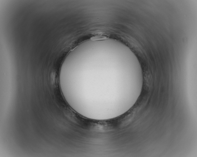 X0000112940420200909141351