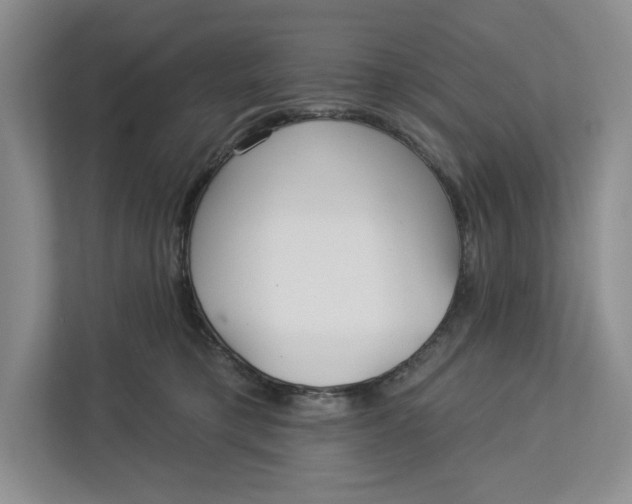 X0000112940421200909141351