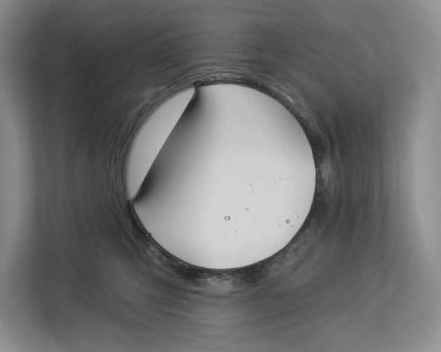 X0000112940423200909141351