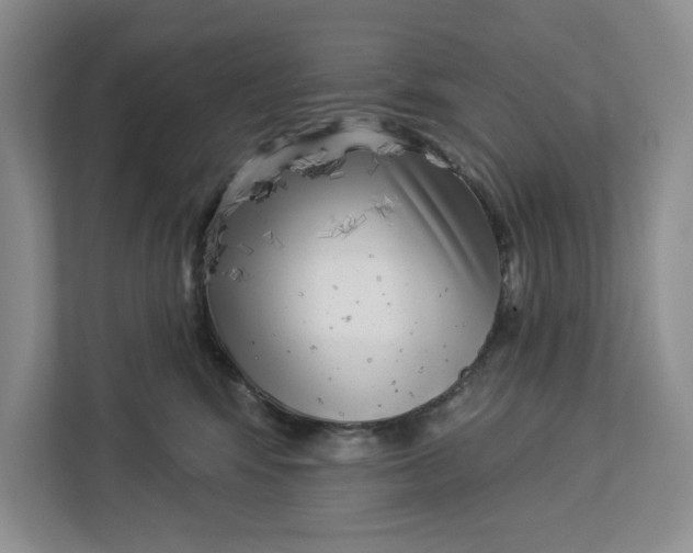 X0000112940424200909141351