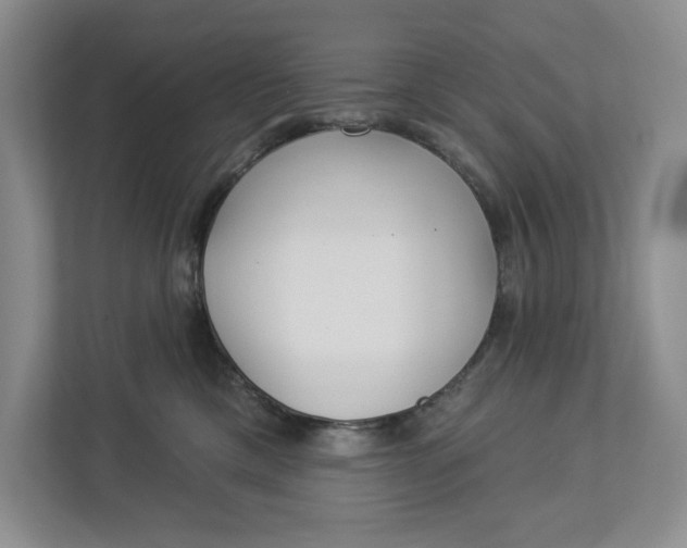 X0000112940425200909141351