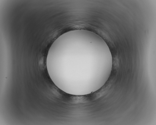 X0000112940428200909141351