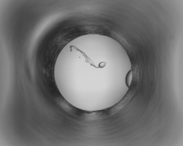 X0000112940430200909141351
