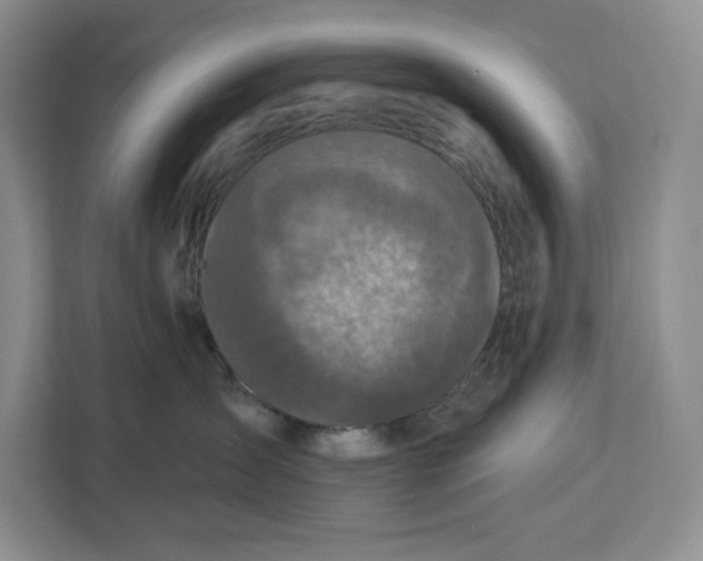 X0000112940431200909141351