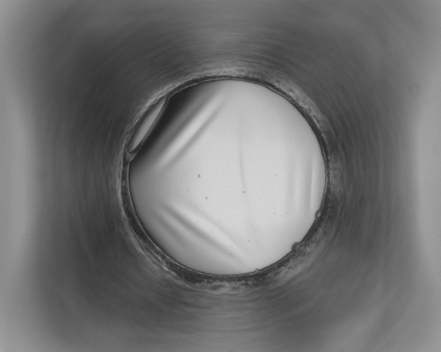 X0000112940434200909141350