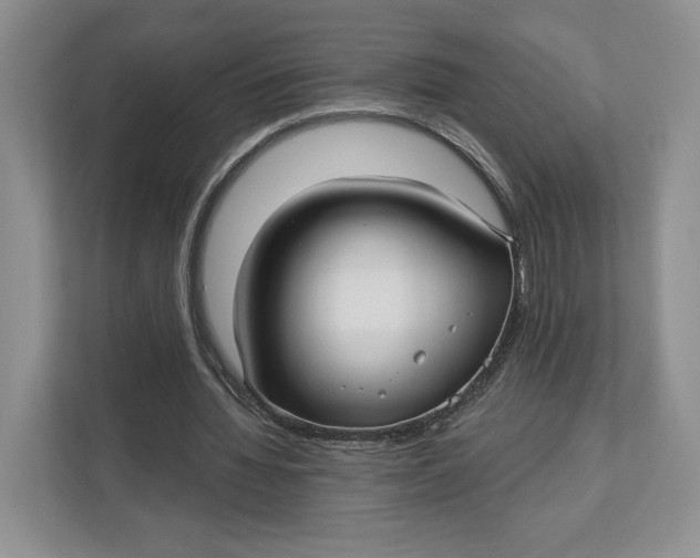 X0000112940436200909141350
