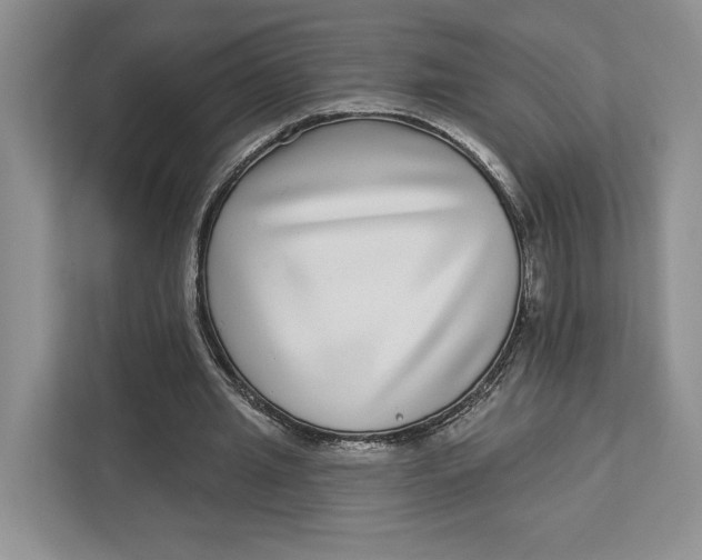 X0000112940437200909141350