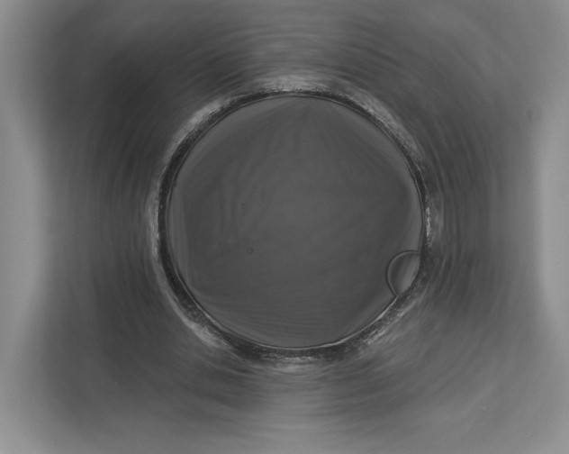 X0000112940438200909141350