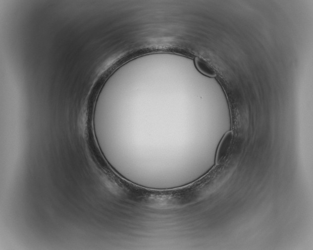 X0000112940440200909141350