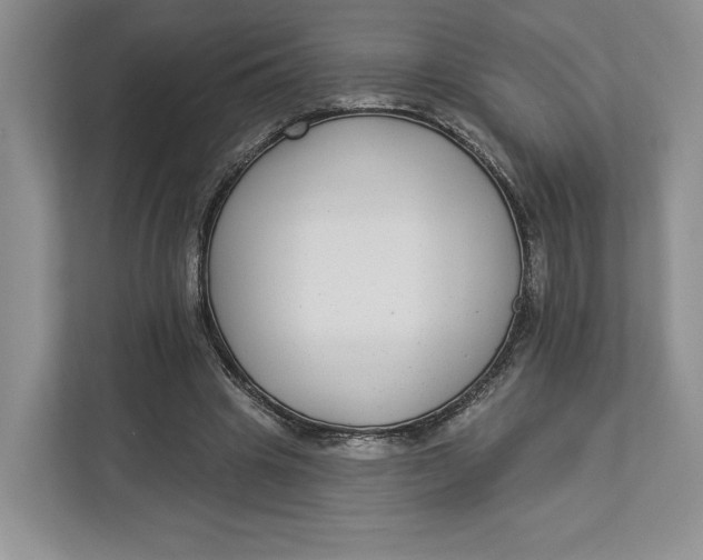 X0000112940441200909141350