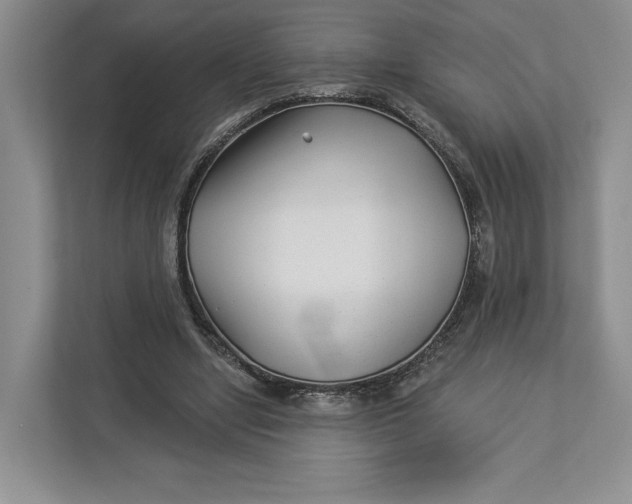 X0000112940442200909141350