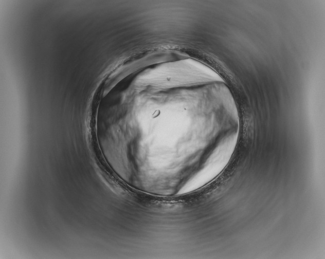 X0000112940443200909141350