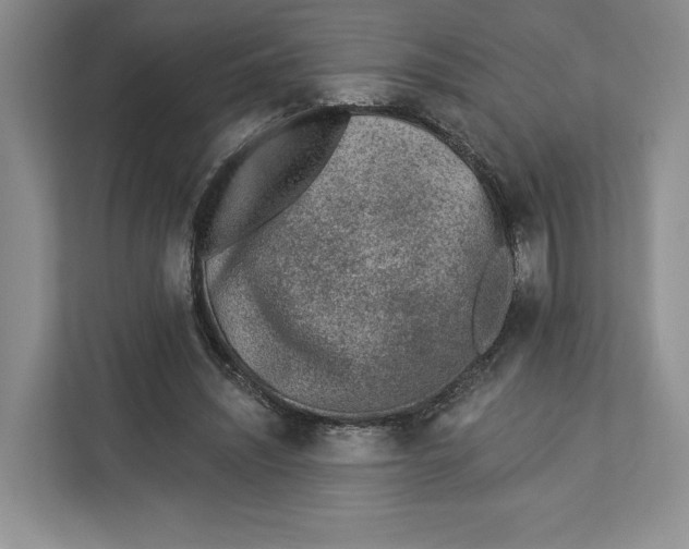 X0000112940444200909141350