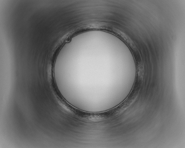 X0000112940445200909141350