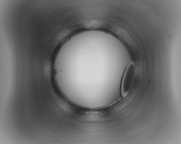 X0000112940448200909141350