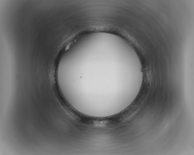 X0000112940450200909141350